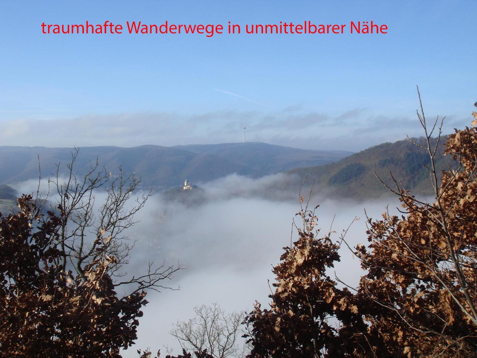 Ferienwohnung Rhein-Panorama Ланштайн Екстер'єр фото