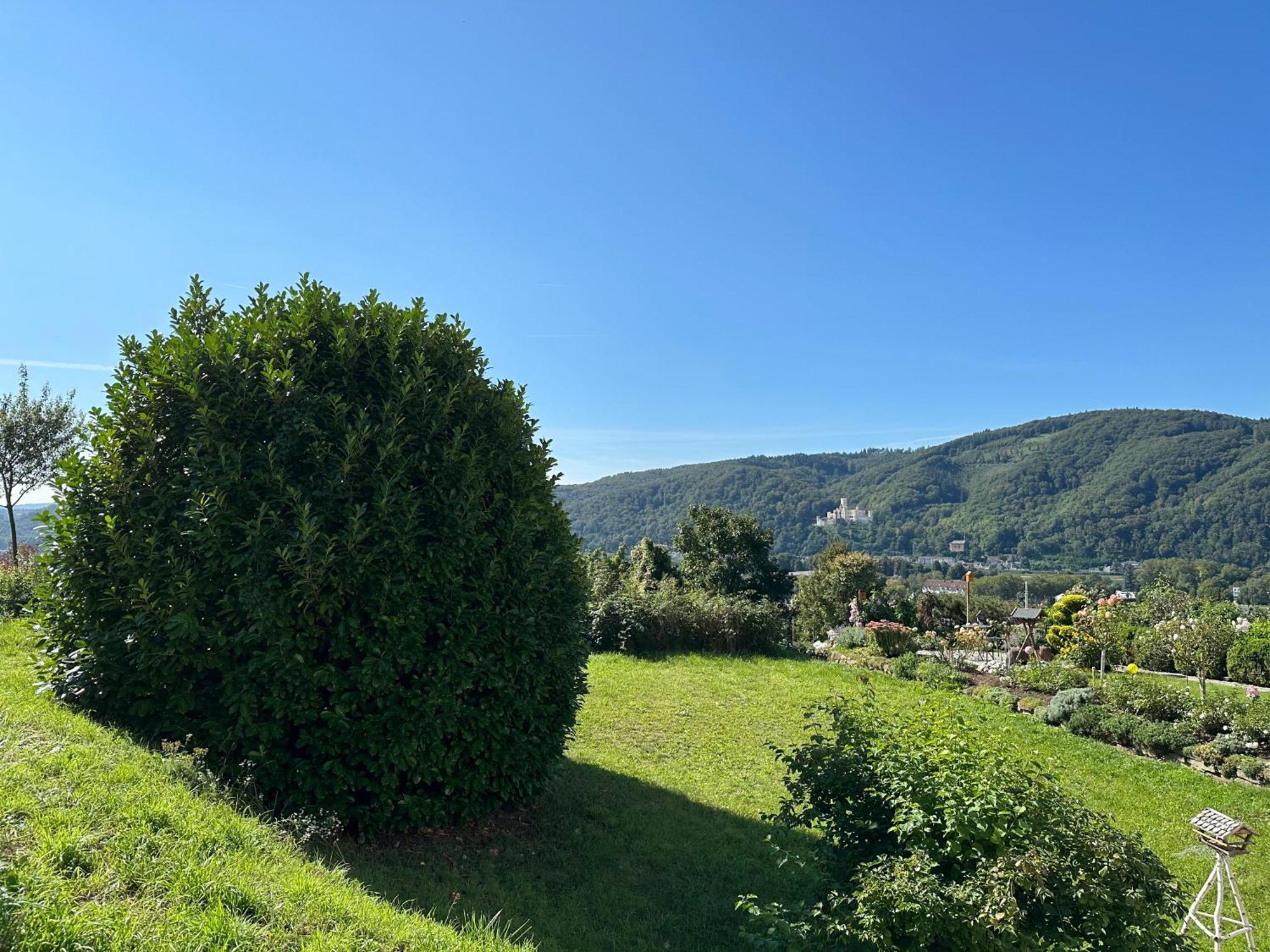 Ferienwohnung Rhein-Panorama Ланштайн Екстер'єр фото